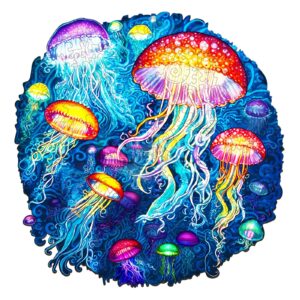 Read more about the article Wooden Jigsaw Puzzle-colorful jellyfish 66d3a614d7fee