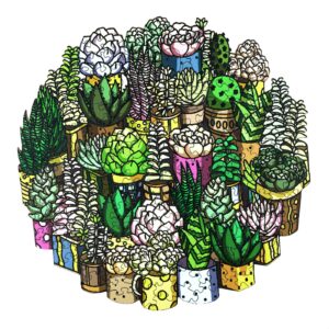 Read more about the article Wooden Jigsaw Puzzle-SUCCULENT PLANT 66e729f0877e0