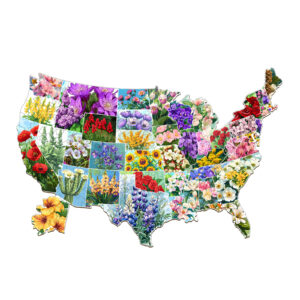 Read more about the article Wooden Jigsaw Puzzle-USA State Flowers 66e87e19b136c